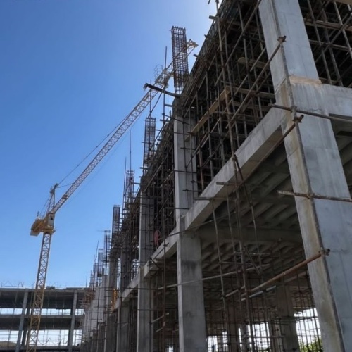 داربست وطن دوست