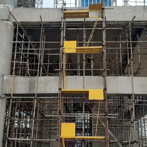 داربست وطن دوست