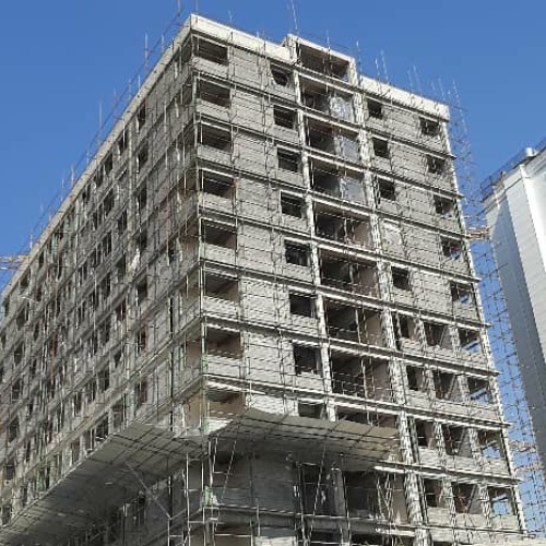 داربست وطن دوست