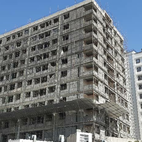 داربست وطن دوست