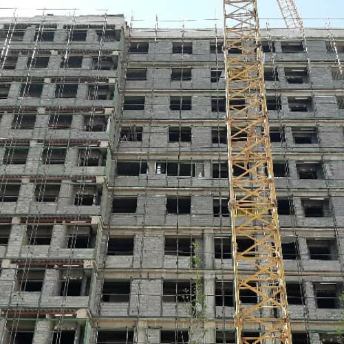 داربست وطن دوست